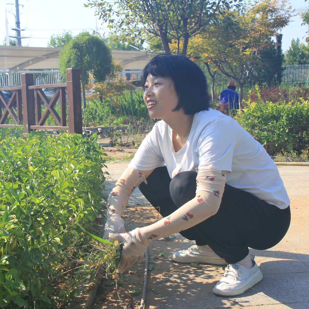 ������ʱ - �������ǲ�