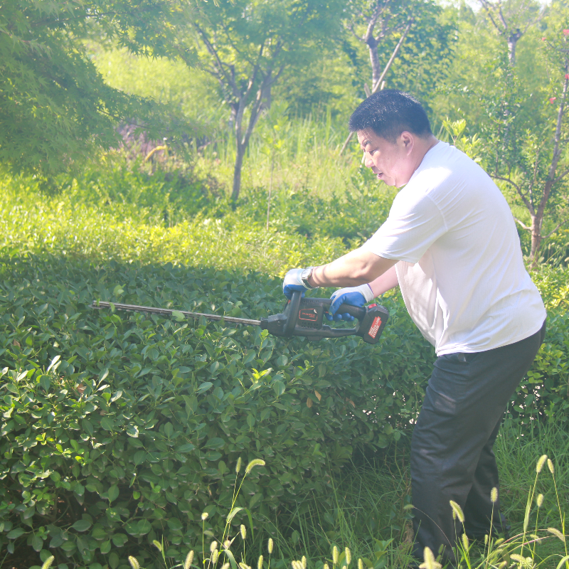 ������ʱ - �������ǲ�