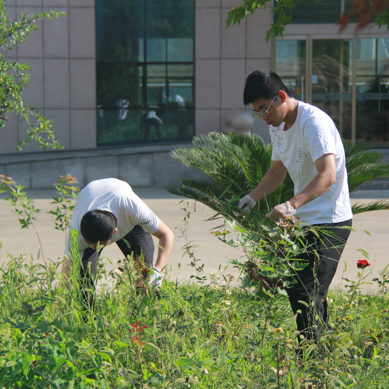 ������ʱ - �������ǲ�