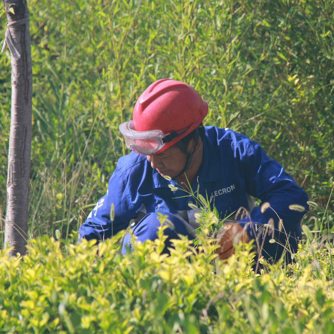 ������ʱ - �������ǲ�